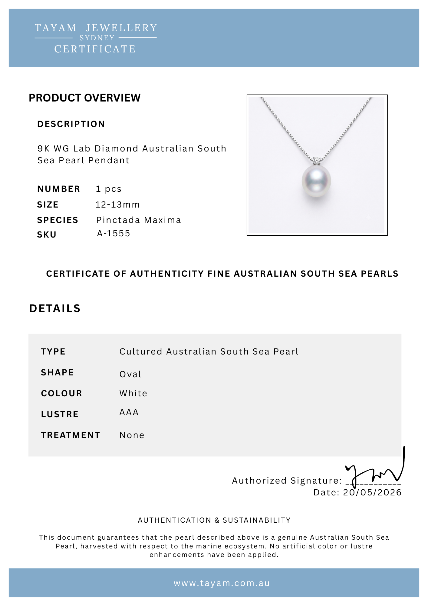 Australian South Sea pearl pendant chain included β 12mm oval natural pearl under $1000 Sydney CBD Tayam