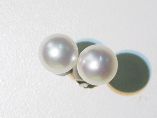 Australian South Sea Pearl Stud Earrings (9-10mm) | Tayam Jewellery