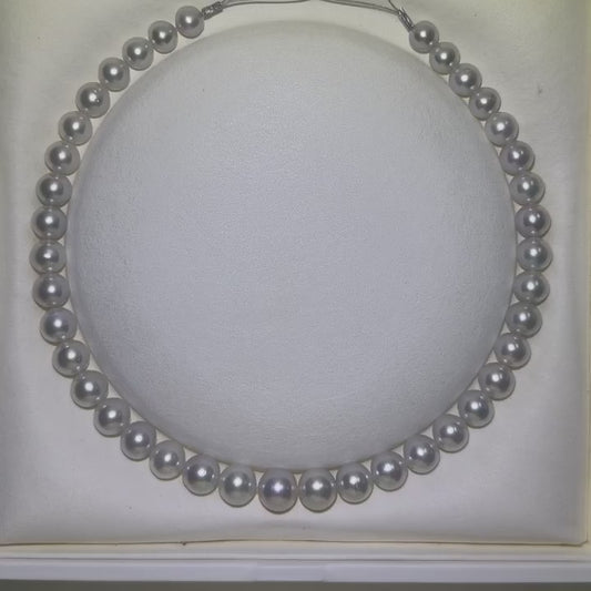11.05-14.45mm South Sea Pearl Strand 35 Pearls | Tayam Sydney CBD