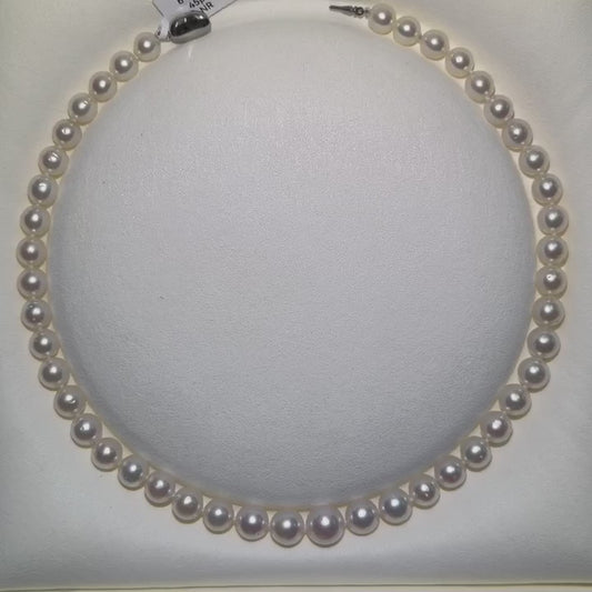 8-11mm South Sea Pearl Strand 45 Pearls | Tayam Sydney CBD