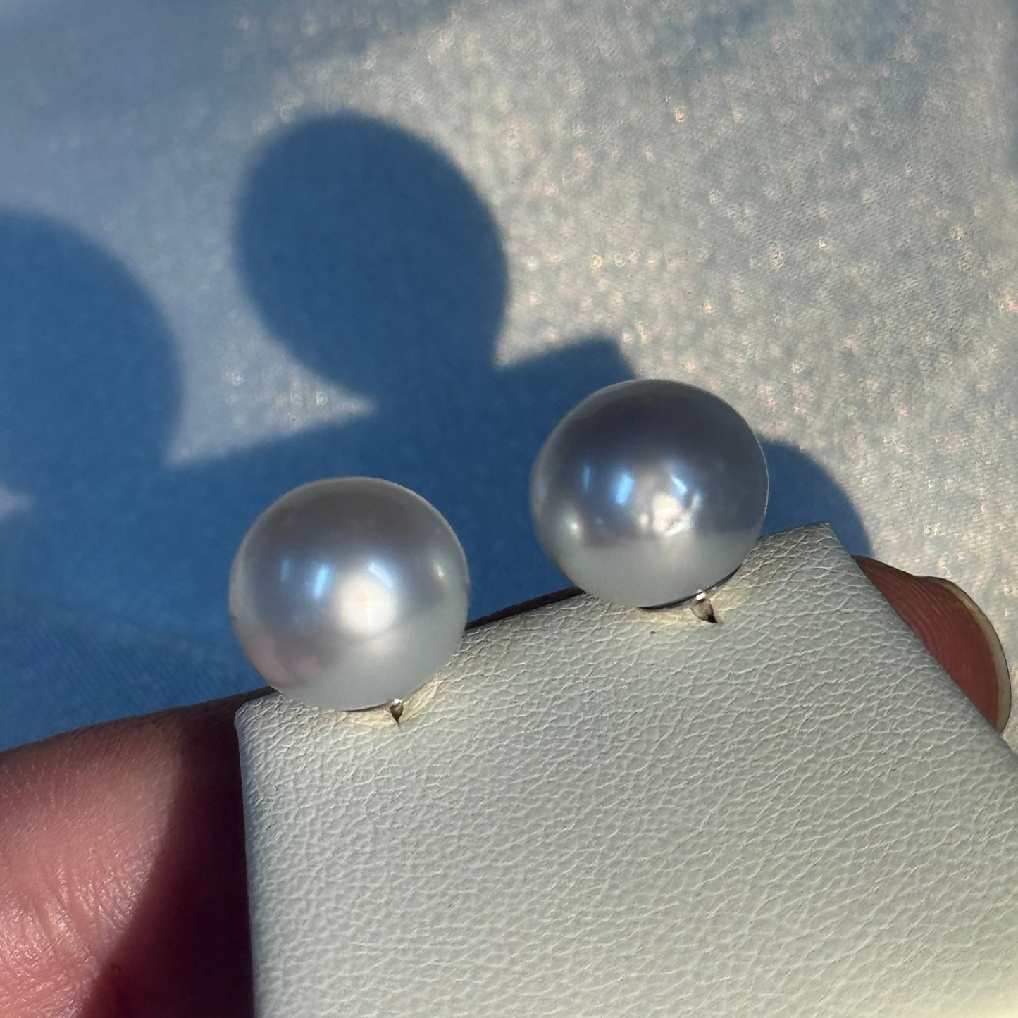 Natural South Sea pearl earrings worn — silver lustre 10mm pearl studs Sydney CBD Tayam Jewellery
